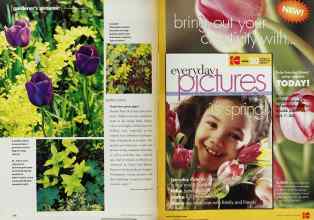Better Homes & Gardens April 2001 Magazine Article: Page 124