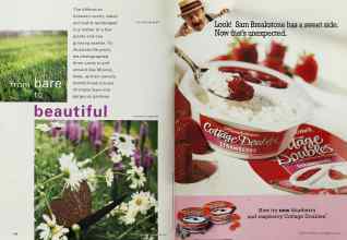 Better Homes & Gardens April 2001 Magazine Article: Page 128