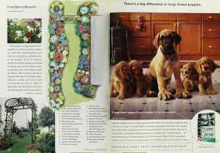 Better Homes & Gardens April 2001 Magazine Article: Page 132
