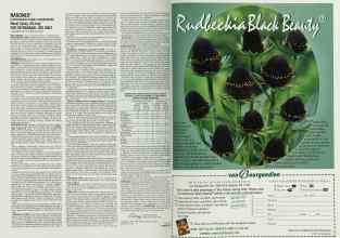 Better Homes & Gardens April 2001 Magazine Article: Page 138