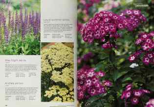 Better Homes & Gardens April 2001 Magazine Article: Page 148