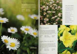 Better Homes & Gardens April 2001 Magazine Article: Page 150