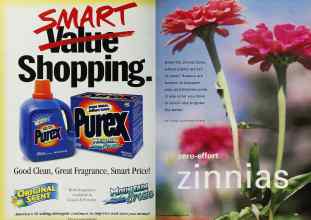 Better Homes & Gardens April 2001 Magazine Article: Page 158