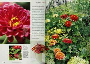 Better Homes & Gardens April 2001 Magazine Article: Page 160