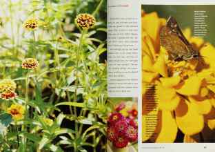 Better Homes & Gardens April 2001 Magazine Article: Page 162