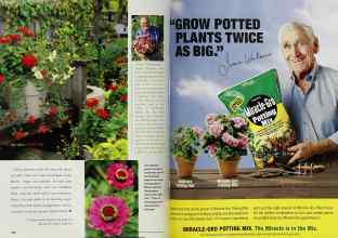 Better Homes & Gardens April 2001 Magazine Article: Page 164