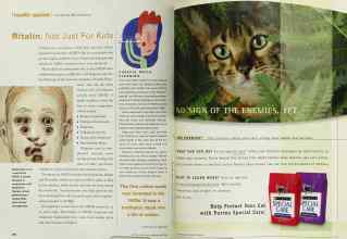 Better Homes & Gardens April 2001 Magazine Article: Page 250