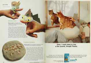 Better Homes & Gardens April 2001 Magazine Article: Page 278