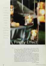 Better Homes & Gardens May 2001 Magazine Article: The Firefly Effect