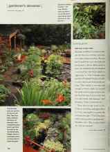 Better Homes & Gardens May 2001 Magazine Article: Get wet: a new view