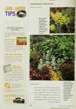 Better Homes & Gardens May 2001 Magazine Article: Perfect pairs