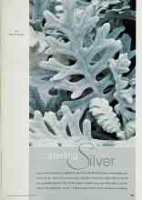 Better Homes & Gardens May 2001 Magazine Article: Sterling Silver