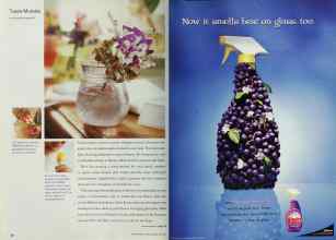 Better Homes & Gardens May 2001 Magazine Article: Page 38