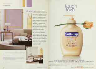 Better Homes & Gardens May 2001 Magazine Article: Page 62