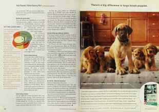 Better Homes & Gardens May 2001 Magazine Article: Page 122