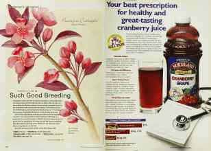 Better Homes & Gardens May 2001 Magazine Article: Page 124