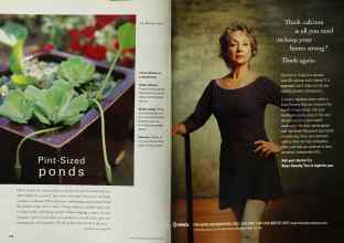 Better Homes & Gardens May 2001 Magazine Article: Page 138