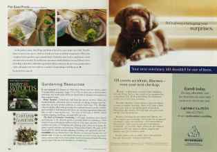 Better Homes & Gardens May 2001 Magazine Article: Page 144