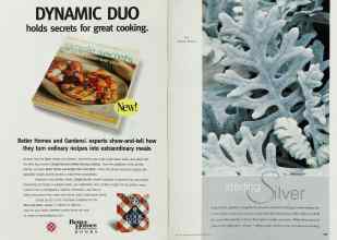 Better Homes & Gardens May 2001 Magazine Article: Page 156