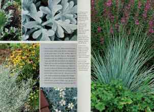 Better Homes & Gardens May 2001 Magazine Article: Page 158