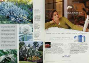 Better Homes & Gardens May 2001 Magazine Article: Page 160