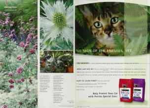 Better Homes & Gardens May 2001 Magazine Article: Page 162