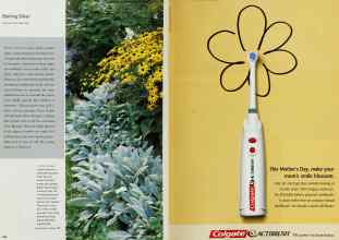 Better Homes & Gardens May 2001 Magazine Article: Page 164