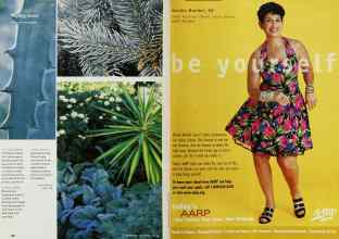 Better Homes & Gardens May 2001 Magazine Article: Page 166