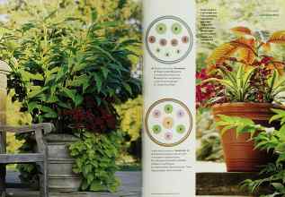 Better Homes & Gardens May 2001 Magazine Article: Page 172