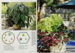 Better Homes & Gardens May 2001 Magazine Article: Page 174