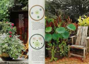 Better Homes & Gardens May 2001 Magazine Article: Page 176