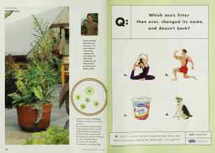 Better Homes & Gardens May 2001 Magazine Article: Page 178