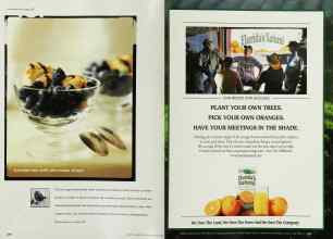 Better Homes & Gardens May 2001 Magazine Article: Page 210