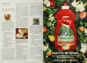 Better Homes & Gardens May 2001 Magazine Article: Page 220