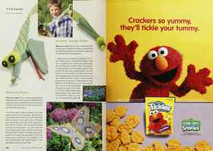 Better Homes & Gardens May 2001 Magazine Article: Page 258