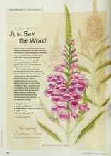 Better Homes & Gardens June 2001 Magazine Article: Just Say the Word