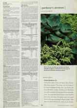 Better Homes & Gardens June 2001 Magazine Article: Perfect Pairs