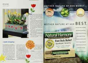Better Homes & Gardens June 2001 Magazine Article: Page 36