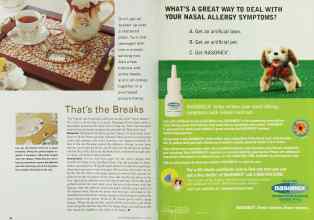Better Homes & Gardens June 2001 Magazine Article: Page 38