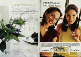 Better Homes & Gardens June 2001 Magazine Article: Page 52