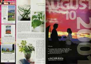 Better Homes & Gardens June 2001 Magazine Article: Page 54