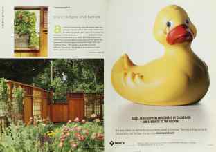 Better Homes & Gardens June 2001 Magazine Article: Page 98