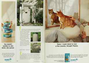 Better Homes & Gardens June 2001 Magazine Article: Page 100