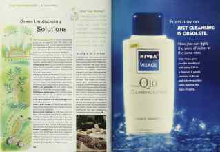 Better Homes & Gardens June 2001 Magazine Article: Page 144