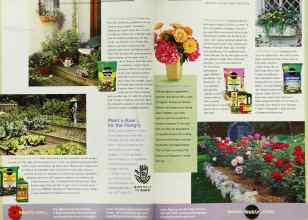 Better Homes & Gardens June 2001 Magazine Article: Page 148
