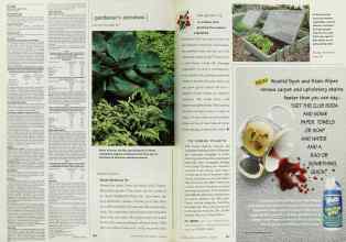 Better Homes & Gardens June 2001 Magazine Article: Page 156