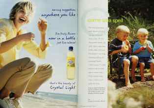 Better Homes & Gardens June 2001 Magazine Article: Page 162