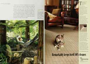 Better Homes & Gardens June 2001 Magazine Article: Page 170