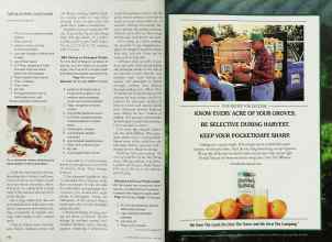Better Homes & Gardens June 2001 Magazine Article: Page 212