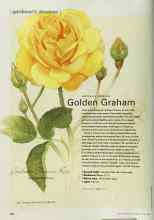 Better Homes & Gardens July 2001 Magazine Article: Golden Graham